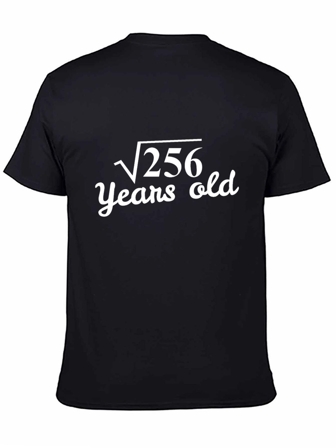 Funny Math Birthday T-Shirt - Square Root 256